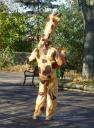 Une girafe sest échapée de son enclos! Elle attaque une citrouille!