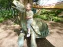 Hop, un petit tour en tortue géante!